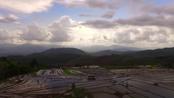Aerial Shot Rice Field at Chiang Mai, Thailand - Footage, Video