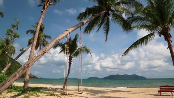 tenger és pálmák a strandon - Felvétel, videó