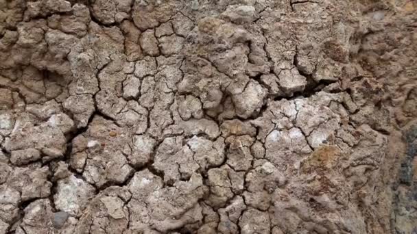 Yellow soil with cracks - Footage, Video