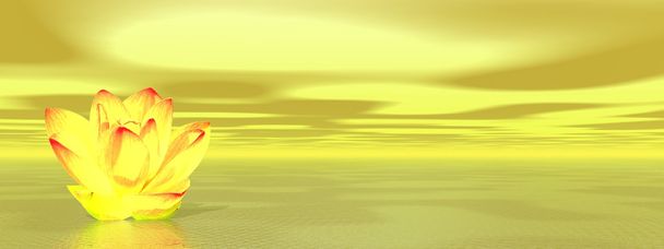 Flor de lirio en océano amarillo
 - Foto, imagen