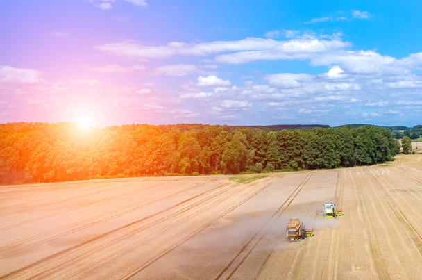 Закат над комбинатами, работающими на пшеничном поле
 - Фото, изображение