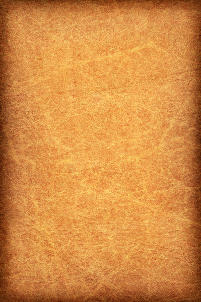 Antique Animal Skin Parchment Vignette Grunge Texture Sample - Photo, Image