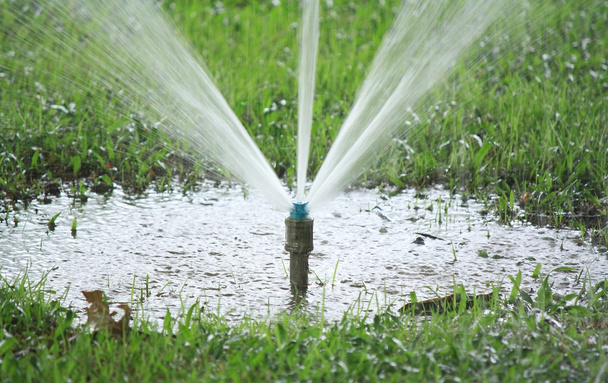 sprinklerů zalévání trávníku - Fotografie, Obrázek