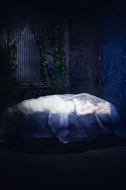Sleeping Beauty. Beautiful lifeless bride in white dress lying o - Photo, Image