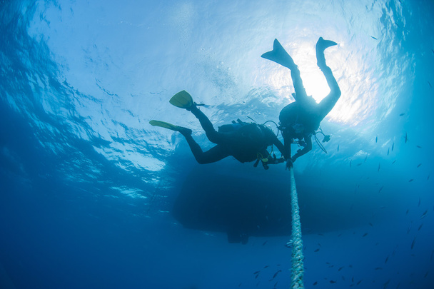 Mergulhadores descomprimindo debaixo d 'água em uma corda
 - Foto, Imagem