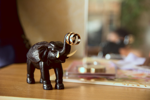 Vihkisormukset norsun takakontissa
 - Valokuva, kuva