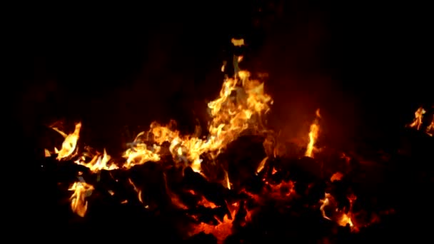Sintels in vlam bij de verbranding van afval van pulp industrie slowmotion - Video