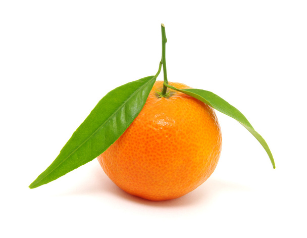  Mandarina
 - Foto, imagen