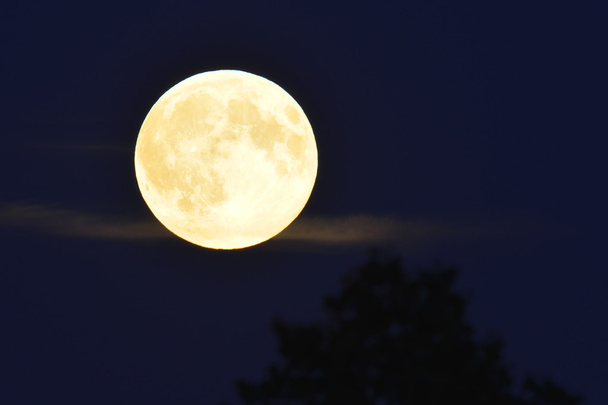Full moon - Photo, Image