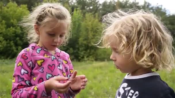 Két vicces gyerek játszik, eltakarják az arcát a kezével. - Felvétel, videó