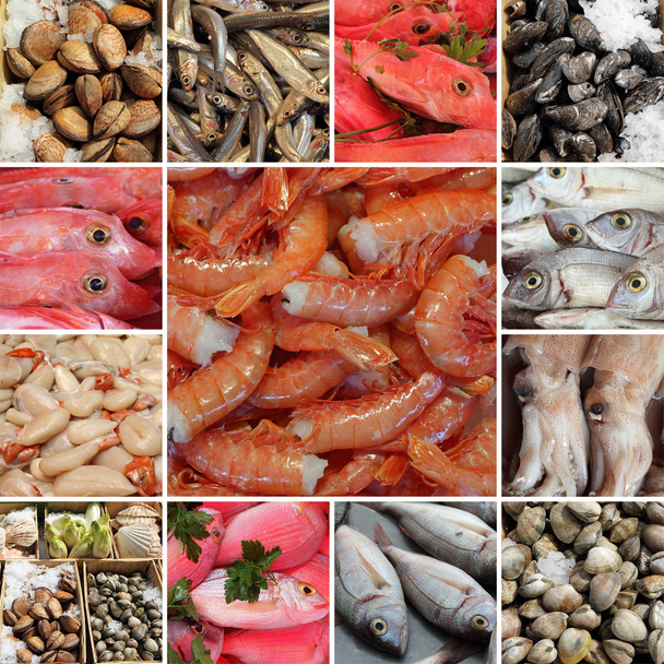 Різноманітність свіжих морепродуктів
 - Фото, зображення