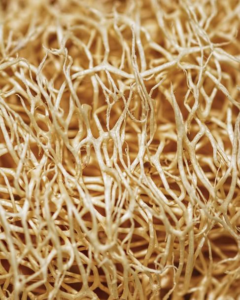 растительное волокно (тыква)
) - Фото, изображение