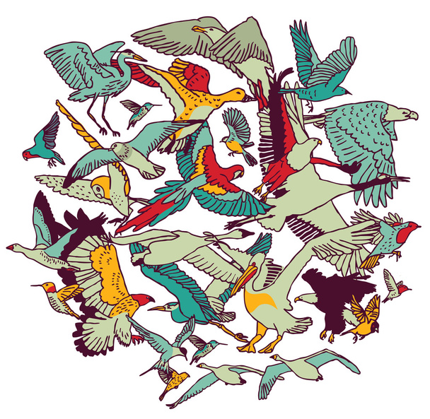 Grupo de pássaros em composição redonda
 - Vetor, Imagem