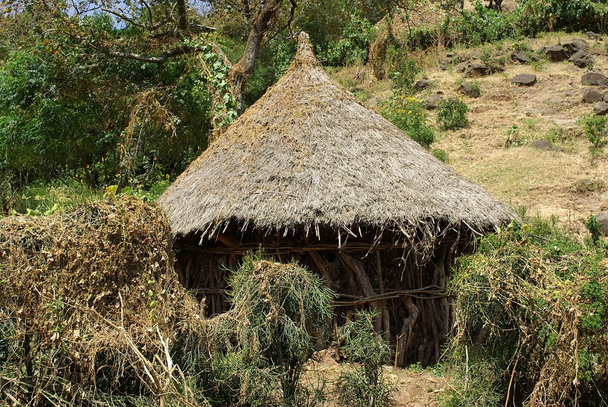 Cabana africana, Etiópia
 - Foto, Imagem