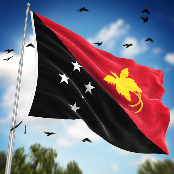 Flaga Papui Nowej Gwinei - Zdjęcie, obraz