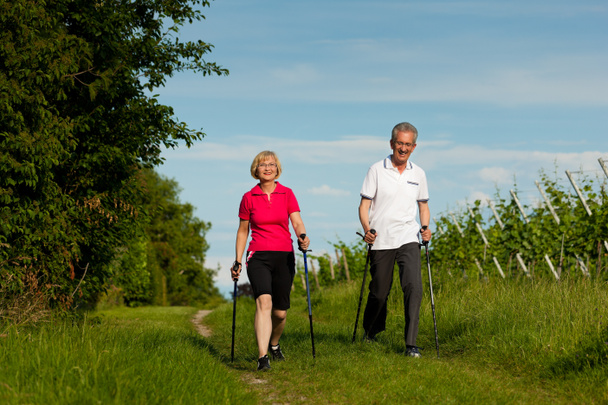 старшая пара, занимающаяся нордической ходьбой летом
 - Фото, изображение