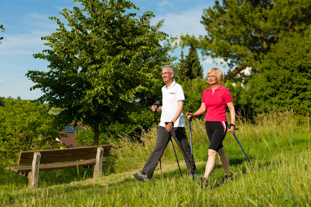Seniorenpaar beim Nordic Walking im Sommer - Foto, Bild
