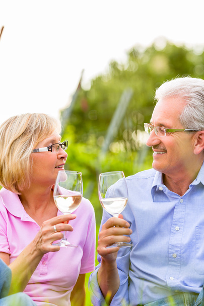 Feliz seniors teniendo picnic bebiendo vino
 - Foto, Imagen