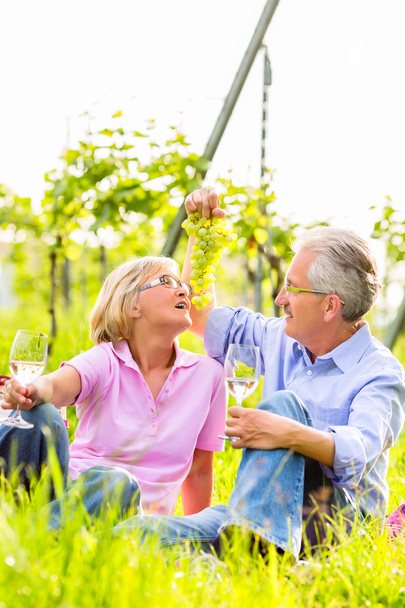 Onnelliset seniorit piknikillä juomassa viiniä
 - Valokuva, kuva