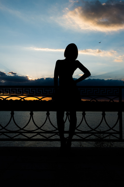 A sziluettje egy nő vissza támaszkodva kerítés és mély színes esti égen - Fotó, kép