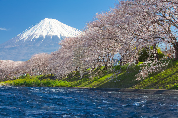 Mountain Fuji näkymä
 - Valokuva, kuva