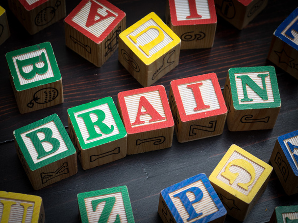 Beyin kavramı blokları - Fotoğraf, Görsel