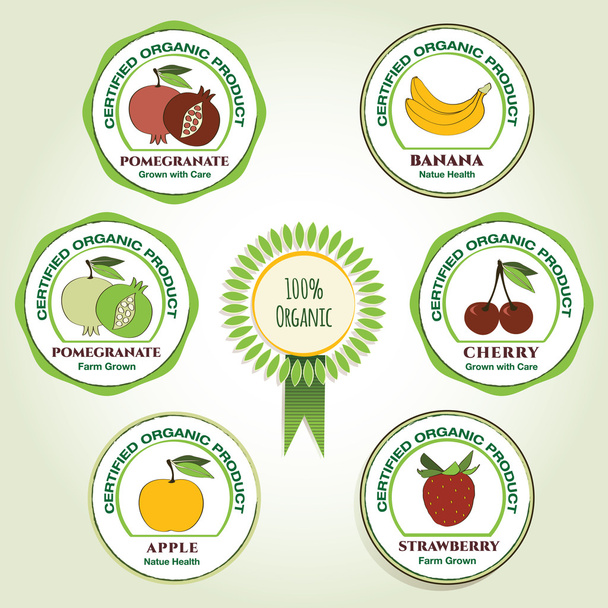 Set de iconos para la plantilla de vector de fruta orgánica
 - Vector, Imagen