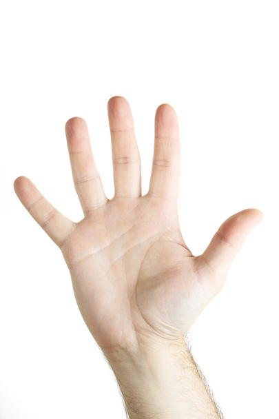 Human hand gesture - Foto, immagini