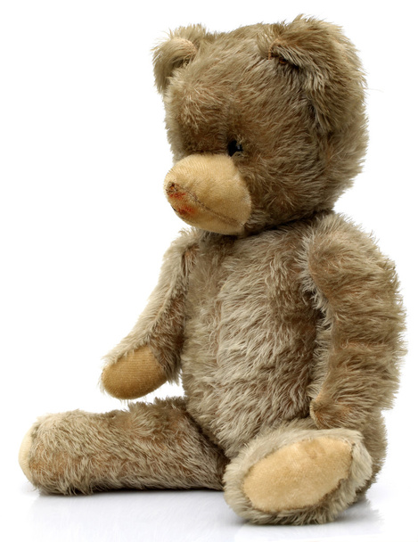 Teddybär - Foto, Bild
