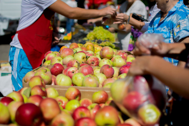 Cajas con manzanas, manos de clientes en un mercado de agricultores (Krasnodarski krai, Rusia
) - Foto, imagen