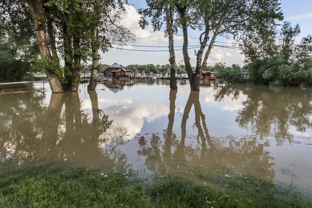 Затоплені землі з плаваючою пліт будинків в річки Сава - новий Белград - Сербія - Фото, зображення