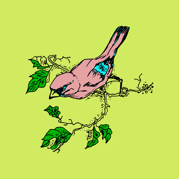 Ilustracja różowy ptak na gałęzi - Wektor, obraz