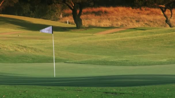 Trou de terrain de golf, vert et drapeau
 - Séquence, vidéo
