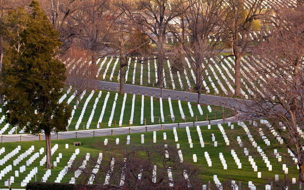 Fahrbahn auf dem Friedhof von Arlington - Foto, Bild