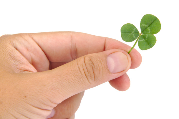 Male hand holding green clover leaf isolated on a white background. Good luck concept - Photo, Image