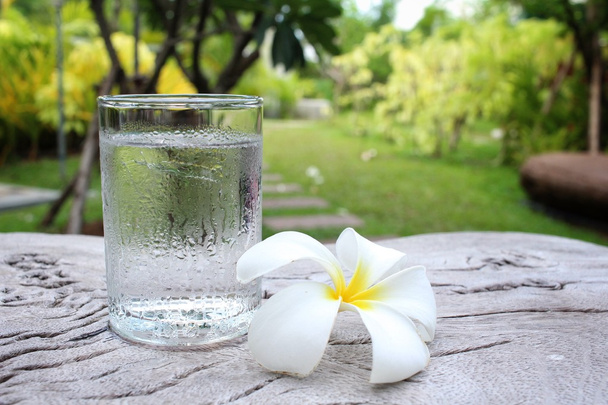Beba agua con flor de frangipani
 - Foto, Imagen