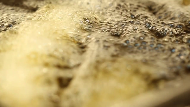 Hluboké smažení ryb - Záběry, video