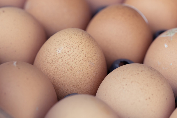 Fresh organic eggs from chicken farm agriculture for sale - Φωτογραφία, εικόνα