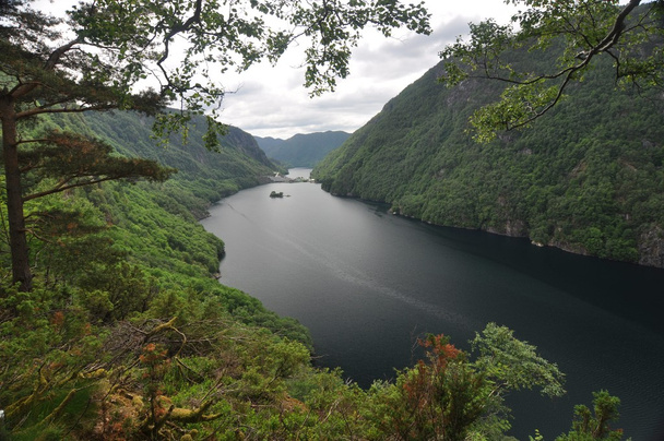 Природа Норвегии
 - Фото, изображение