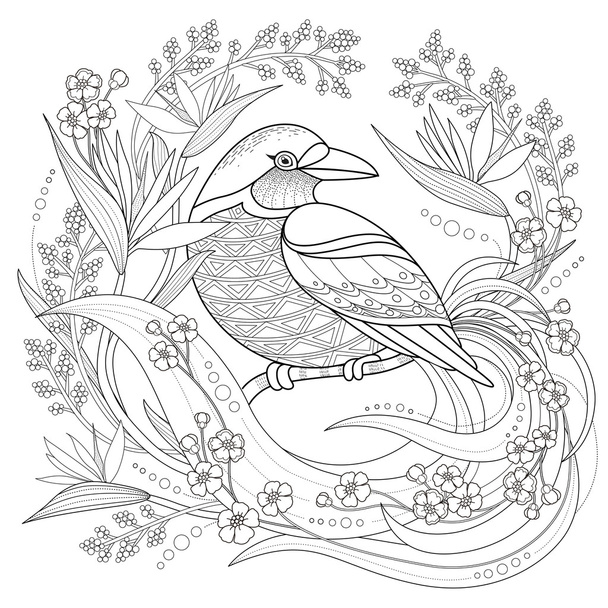graceful bird coloring page - Vector, Image