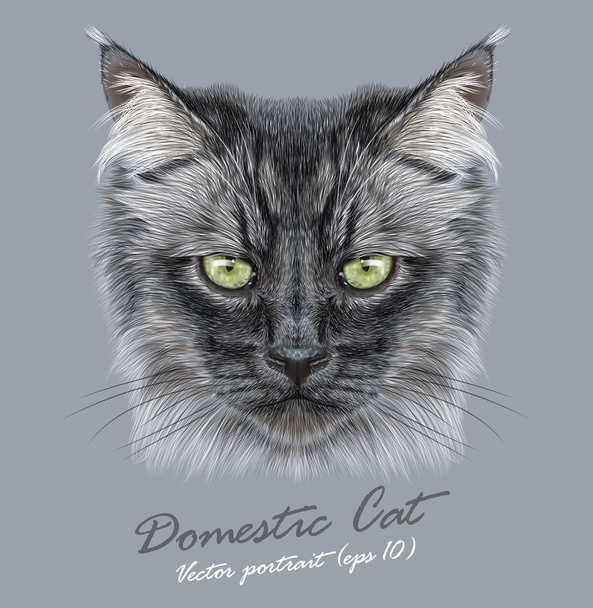 Retrato vectorial de gato doméstico siberiano negro cara linda. Vector divertido pelo largo gatito cabeza retrato. Retrato realista de piel de gatito negro siberiano aislado sobre fondo gris.
. - Vector, Imagen