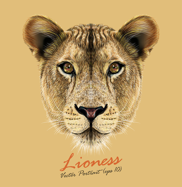 Löwin Tier niedlichen Gesicht. Vektor afrikanischen wilden Löwen Katzenkopf Porträt. realistisches Porträt einer Löwin isoliert auf beigem Hintergrund. - Vektor, Bild
