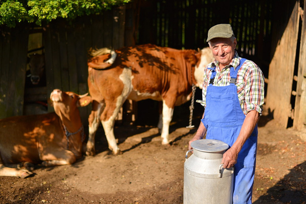 Αγρότης που εργάζεται στο βιολογικό αγρόκτημα με αγελάδες γαλακτοπαραγωγής - Φωτογραφία, εικόνα