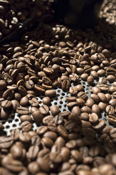 Roasted coffee beans - Photo, Image