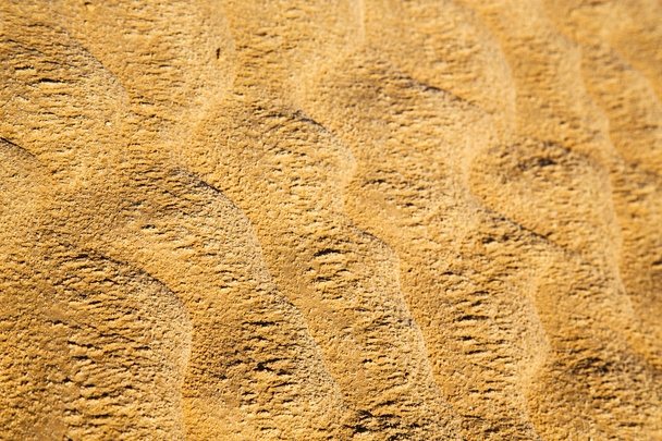 brown dry sand in sahara desert - Photo, Image