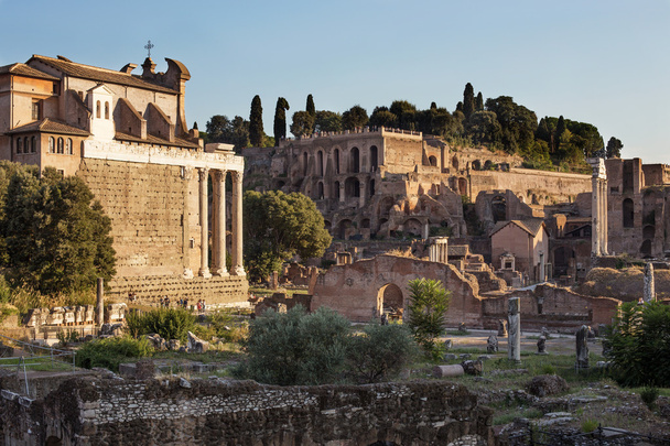 Forum of acient Rome, Italy - 写真・画像