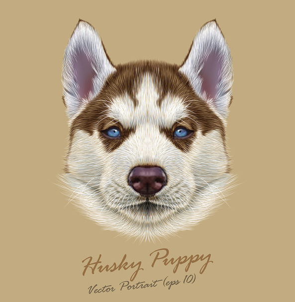 ハスキーの動物犬のかわいい顔。ベクトル アラスカ子犬頭肖像画。ベージュの背景の上にシベリア犬の現実的な毛皮の肖像画. - ベクター画像