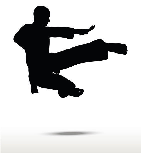karate silhouette - Vector, Image