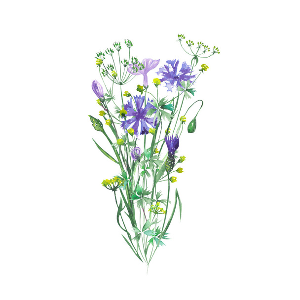 Bouquet of wildflowers and cornflowers - Photo, Image