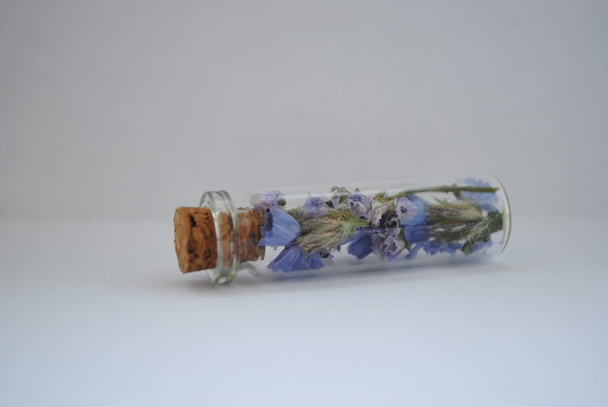 Immortelle en frasco de vidrio. flores en tarro
 - Foto, imagen